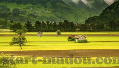 91麻豆精品国产91久久-国产精品91久久的无谓探讨