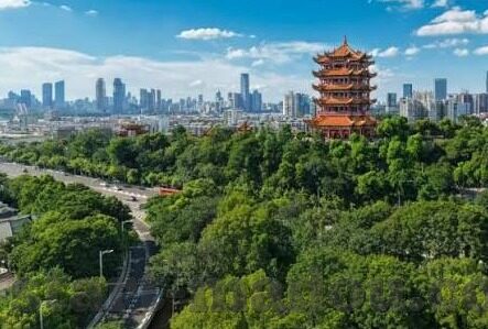 大象传媒在哪下载-探索大象传媒的下载途径