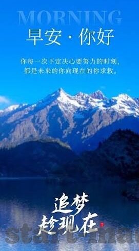 大象视频直播app-探索大象视频直播app，重塑娱乐与互动的边界