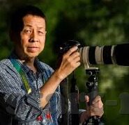 乡村伦理电影-乡村伦理电影，在光影中探寻人性的温情与坚韧